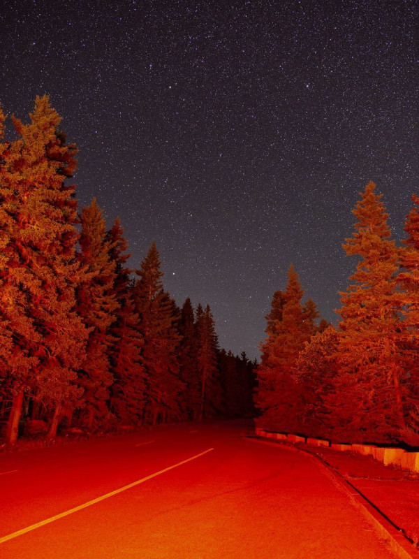 Scary forest road at night illuminated by break lights